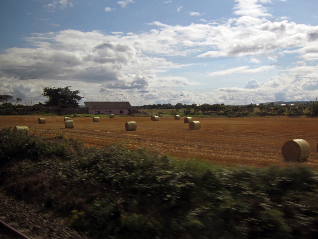 Field with Cylindrical Bales